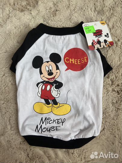 Одежда для собак и кошек