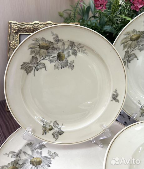 Тарелки Rosenthal серия 