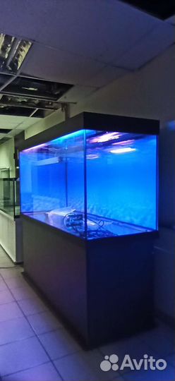 Аквариум 768 свет биофильтр фон подставка
