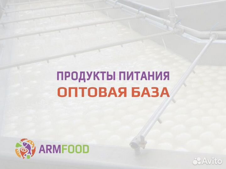 Сыр Моцарелла Мини