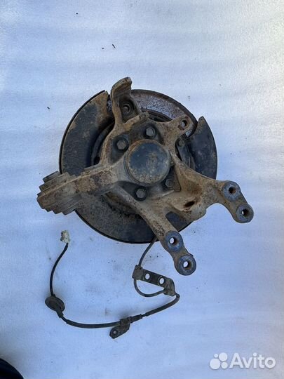 Hyundai elantra HD кулак задний левый всборе