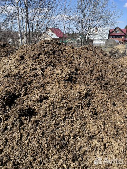 Конский перегной, навоз в Трубачево(за Степановкой