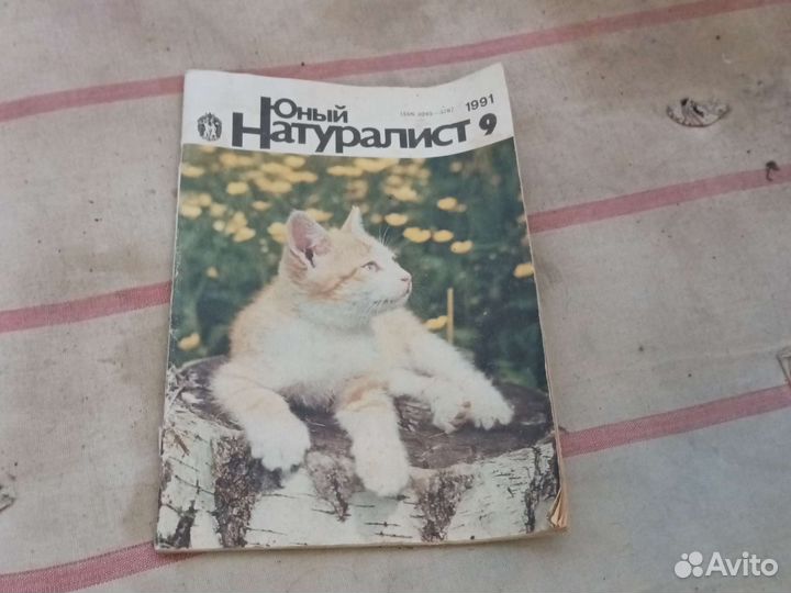 Журнал юный натуралист 9.1991г