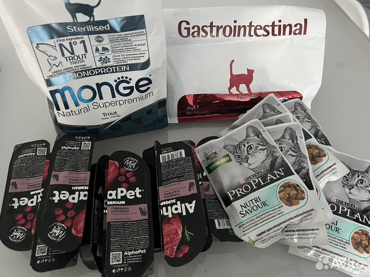 Бесплатно нуждающемуся в еде хвостику