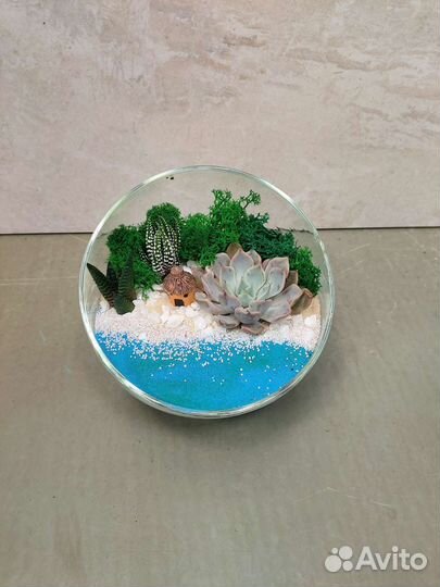 Флорариум чаша, мини садик