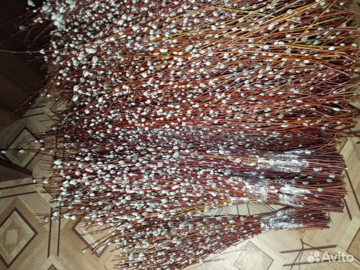 Верба краснотал