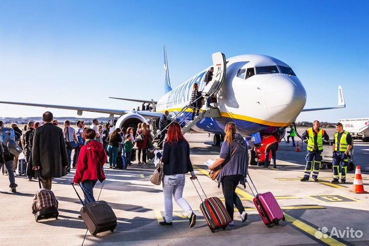 Сборщик чемоданов от 15 смен