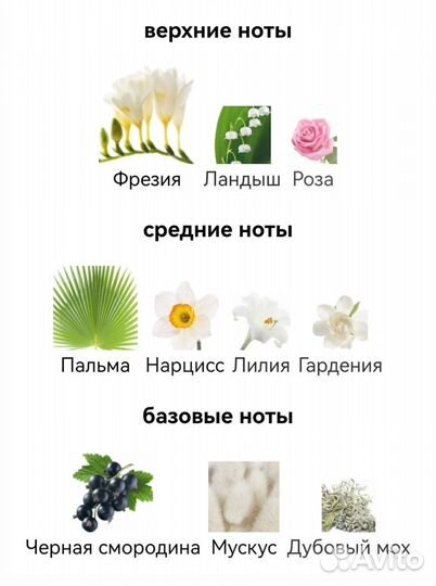 Gucci Rush 2 Gucci для женщин