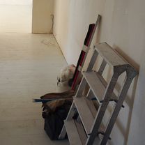 Обои шпаклевание покраска ламинат гипсокартон плит, Ижевск