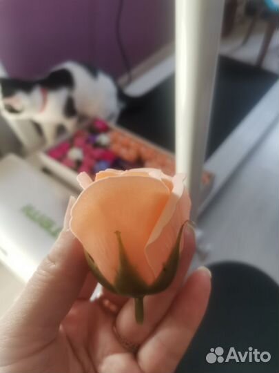 Мыльные розы