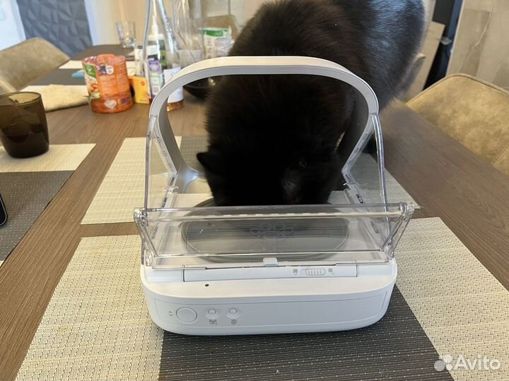 Кормушка для домашних животных с чипом. SureFeed