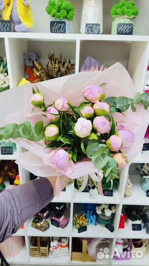 Пионы,цветы,букеты,розы,гипсофила