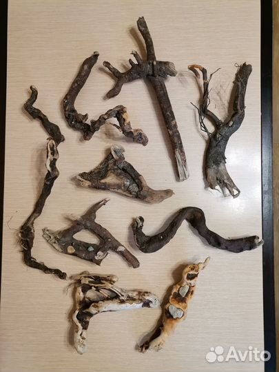 Коряги и камни