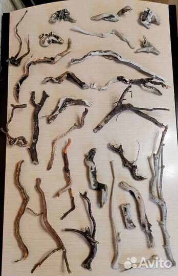 Коряги и камни