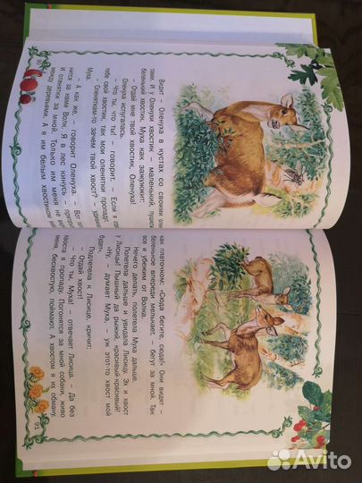 Виталий Бианки. Лесные истории