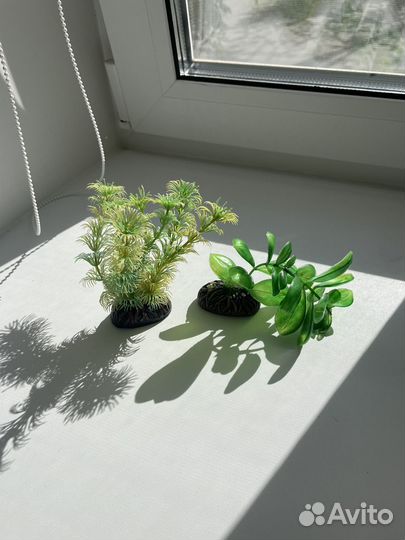 Аквариум 10 литров и аксессуары