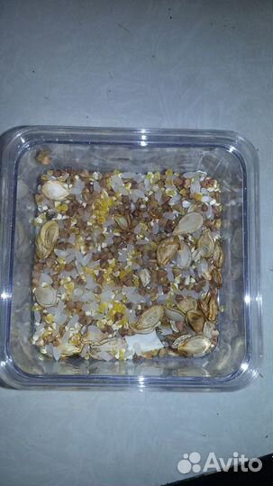 Корм, зерносмесь, еда для улиток ахатин