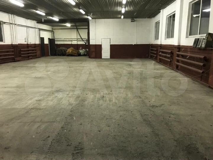 Свободного назначения, 311 м²