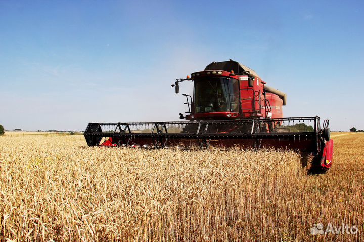 Водитель камаза