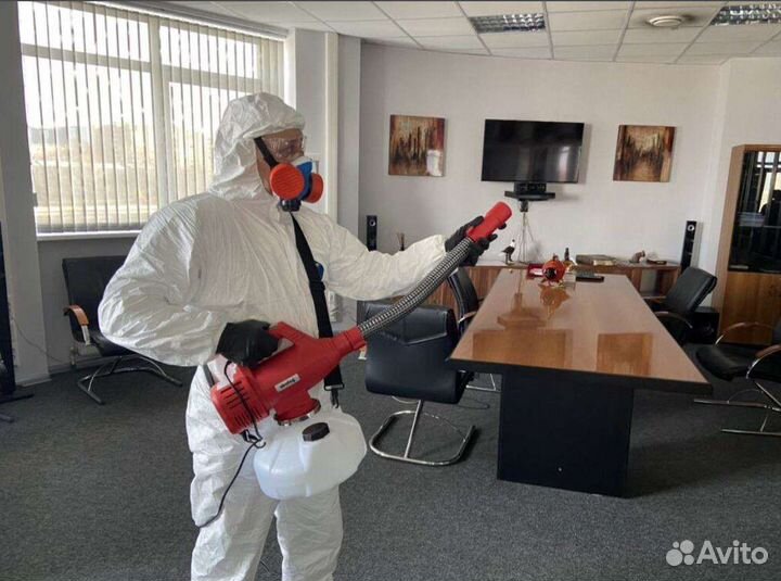 Дезинсекция