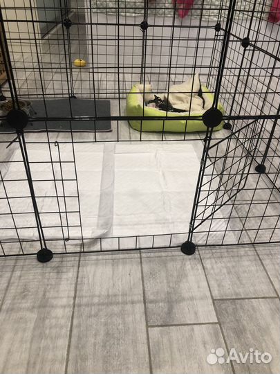 Клетка вольер для собак бу