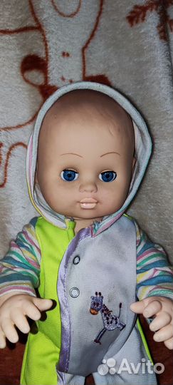 Куклы анатомические Цена за все