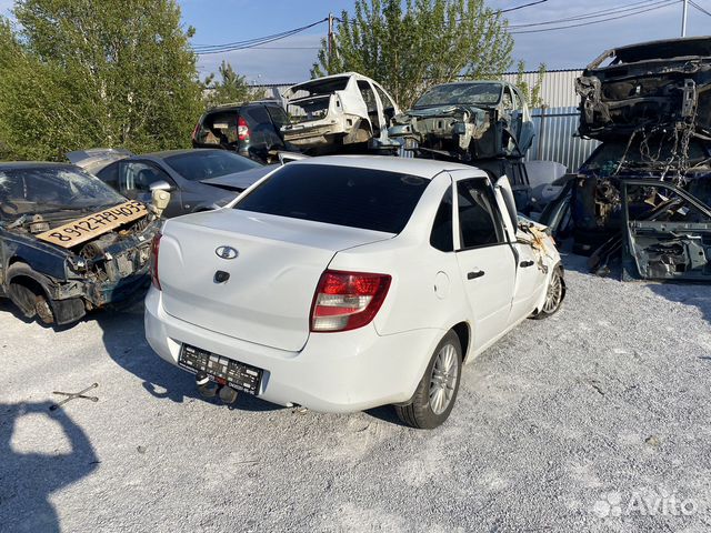 Задняя часть гранта