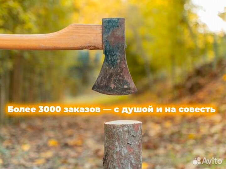 Плинтус сосна