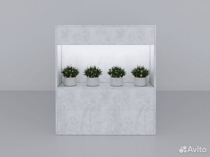 Стол Ресепшн Ботаника для Фитнес Центра