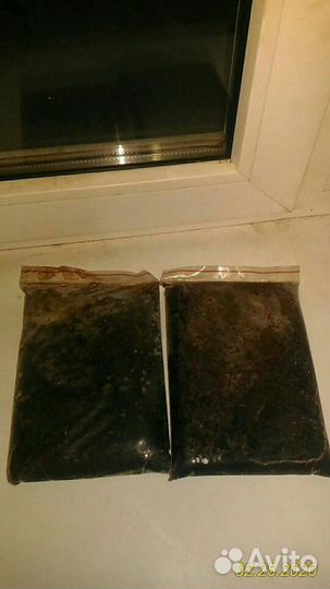 Продаю замороженный корм для аквариумных рыбок