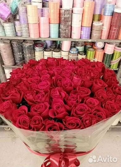 Высокие розы Гигантские розы Доставка цветов