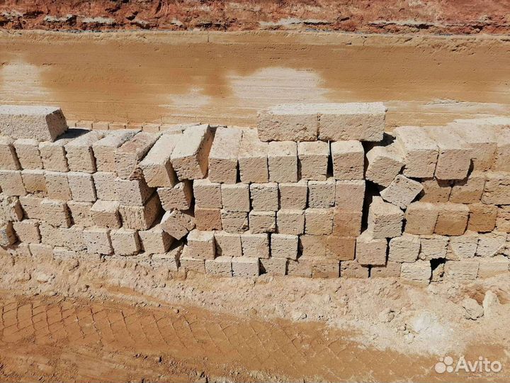 Камень ракушка