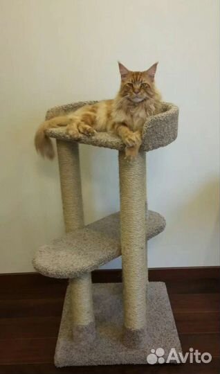 Когтеточка с лежанкой