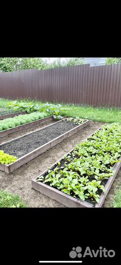 Плодородный грунт С4К Торф Чернозем Удобрение