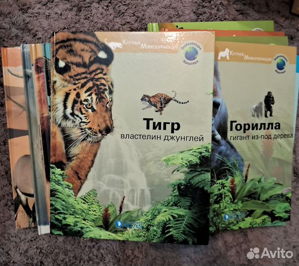 Неполная серия книг