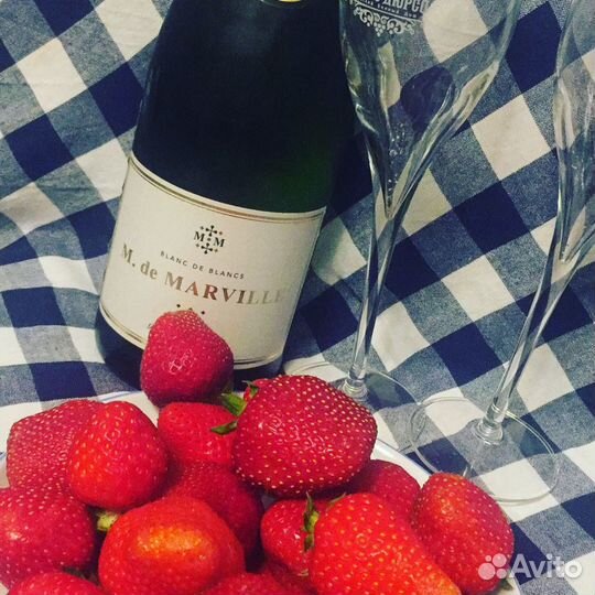 Саженцы клубники-перспективные сорта