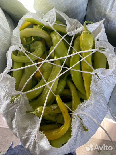 Перец цицак сладкий