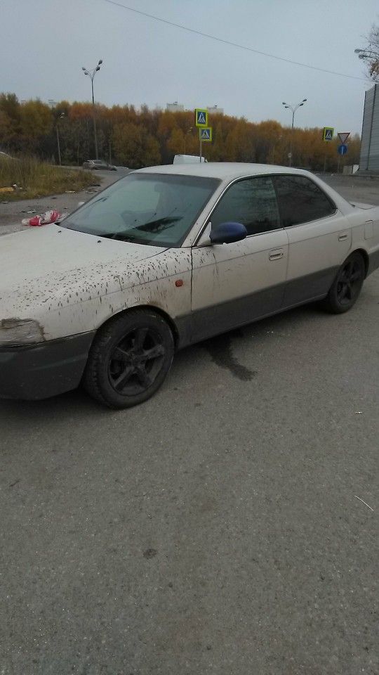 Toyota Vista: фото владельца