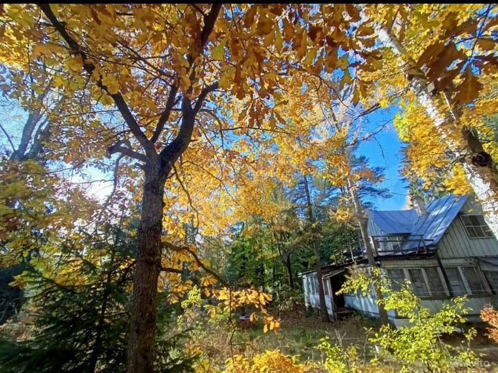 Участок 35 сот. (ИЖС)