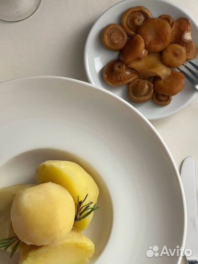 Рыжики грибы