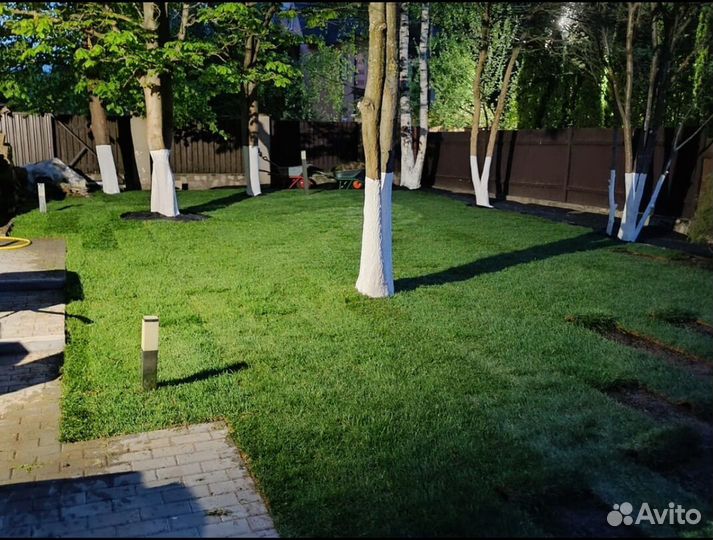 Рулонный газон с укладкой