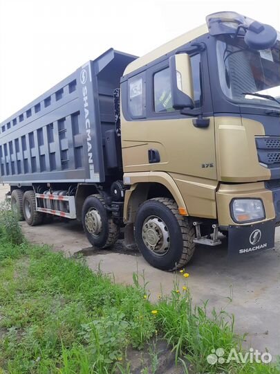 Shacman (Shaanxi) SX33186T366, 2021