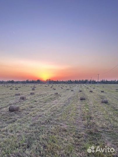 Сено в мини рулонах