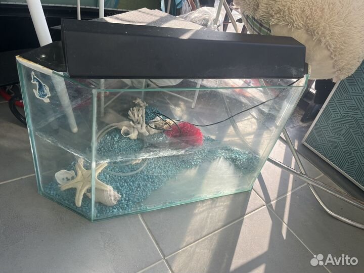 Аквариум
