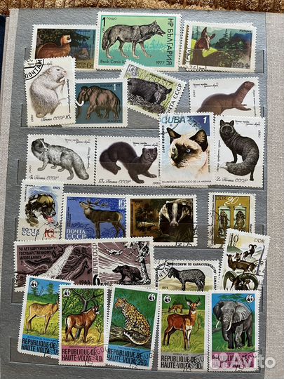 Почтовые марки СССР и др. стран. 