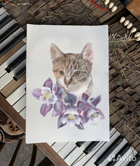 Портрет питомца, домашнего животного