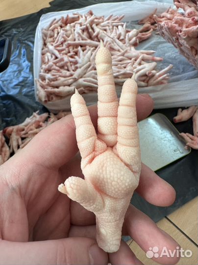 Куриные лапы плюсны экспорт в китай