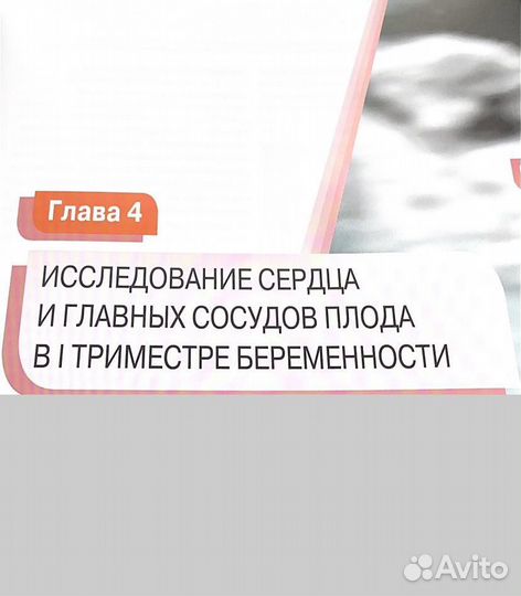 Хобби и отдых