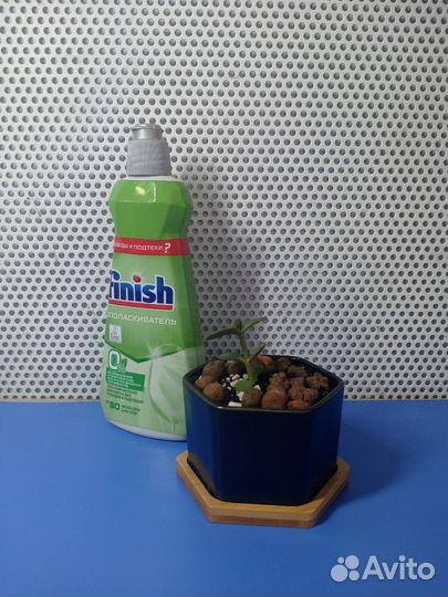 Ополаскиватель для посуды в посудомоечных машинах