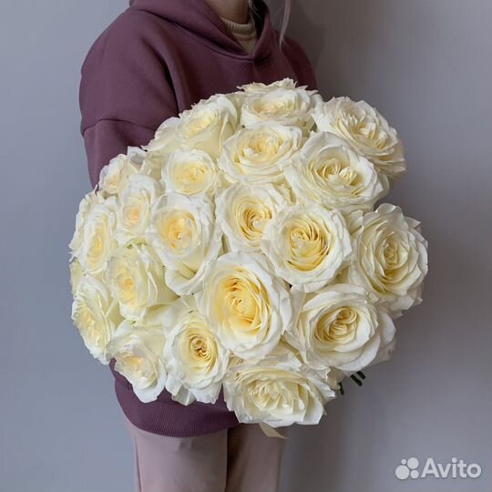 Роза белая Конделайт